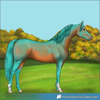 Horse Color:Watercolor Brown 