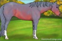 Horse Color:Watercolor Brown 