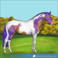 Horse Color:Watercolor Brown Tobiano 