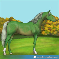 Horse Color:Watercolor Silver Brown 