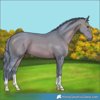 Horse Color:Watercolor Bay 