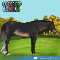 Horse Color:Gray Brown 