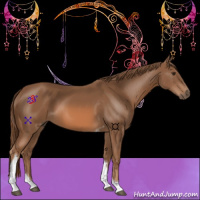 Horse Color:Chestnut Tobiano 