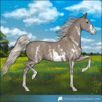 Horse Color:Silver Smoky Black Sabino 