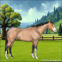 Horse Color:Bay Roan Sabino