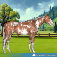 Horse Color:White Spotted Silver Bay Sabino