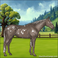 Horse Color:White Spotted Silver Black 