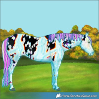Horse Color:Painted Thunderstruck Palomino Ice Dun Tobiano Near Leopard 