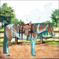 Horse Color:Thunderstruck Brown Tobiano 