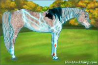 Horse Color:Thunderstruck Silver Brown Ice Tobiano 