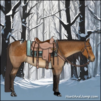 Horse Color:Buckskin Tobiano Rabicano