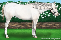Horse Color:Smoky Blue Roan Pearl Varnish 