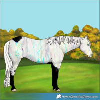 Horse Color:Cremello Ice Tobiano 