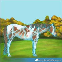 Horse Color:Thunderstruck Chestnut Tobiano 