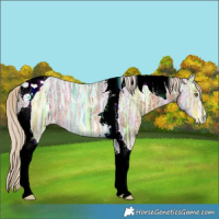 Horse Color:Chocolate Palomino Ice Tobiano 