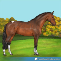 Horse Color:Bay Tobiano 