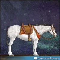 Horse Color:Brown Roan Dun Sabino Rabicano 