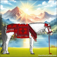 Horse Color:White Spotted Bay Ice Leopard
