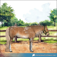 Horse Color:Chocolate Palomino Tobiano 