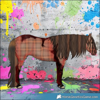 Horse Color:Void Plaid  Liver Red Dun Tobiano 