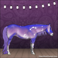 Horse Color:Watercolor White Spotted Liver Red Onyx Rabicano