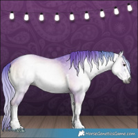 Horse Color:Gray Watercolor White Spotted Liver Red Onyx 