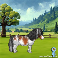Horse Color:White Spotted Brown 