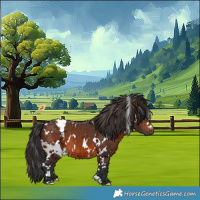 Horse Color:White Spotted Brown 