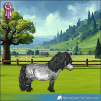 Horse Color:White Spotted Bay Chinchilla 