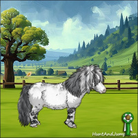 Horse Color:White Spotted Bay Chinchilla Appaloosa 