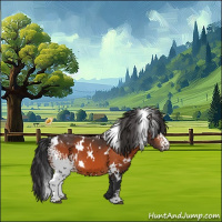 Horse Color:White Spotted Brown Appaloosa 