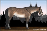 Horse Color:Brown Dun Tobiano 