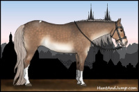 Horse Color:Silver Brown Dun Tobiano 