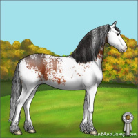 Horse Color:White Spotted Brown Splash 