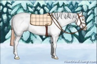 Horse Color:Sable Champagne Roan Splash Tobiano Frame Snowcap 