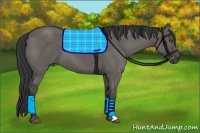 Horse Color:Grullo 