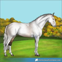 Horse Color:Gray Silver Brown Dun Splash Tobiano 