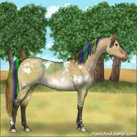 Horse Color:Painted White Spotted Buckskin Dun Rabicano Brindle 