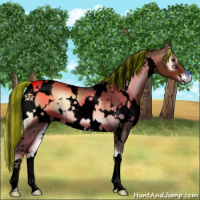 Horse Color:Void Painted White Spotted Liver Red Onyx 