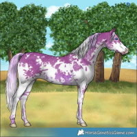 Horse Color:Watercolor White Spotted Chocolate Palomino Splash 