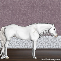 Horse Color:Silver Grullo Sabino Splash 