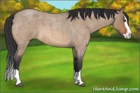 Horse Color:Bay Roan Dun Splash