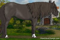 Horse Color:Smoky Black