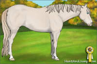 Horse Color:Blue Roan Pearl Rabicano 