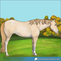 Horse Color:Smoky Black Pearl 