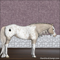 Horse Color:Silver Grullo Roan Splash Blanket 