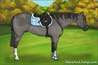 Horse Color:Grullo 