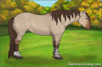 Horse Color:Liver Red Dun Tobiano Rabicano 