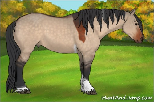 Horse Color:Brown Dun Tobiano Rabicano 