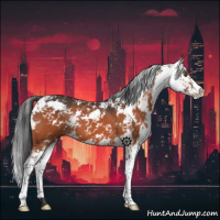 Horse Color:Bay Sabino 